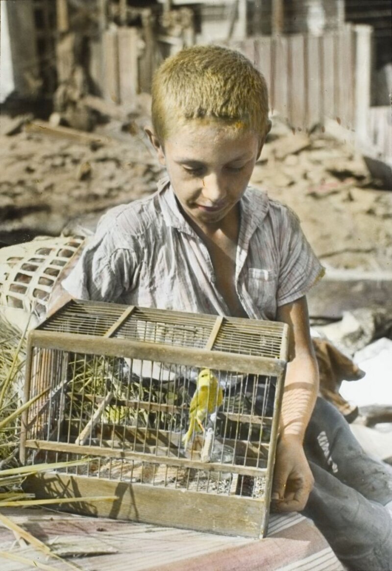 Ten-year-old Zygmunt Aksienow with the canary in the cage, corner of Wójtowska and Przyrynek Streets in Warsaw's New Town, September 1939 (AIPN, Julien Bryan Collection in Warsaw)