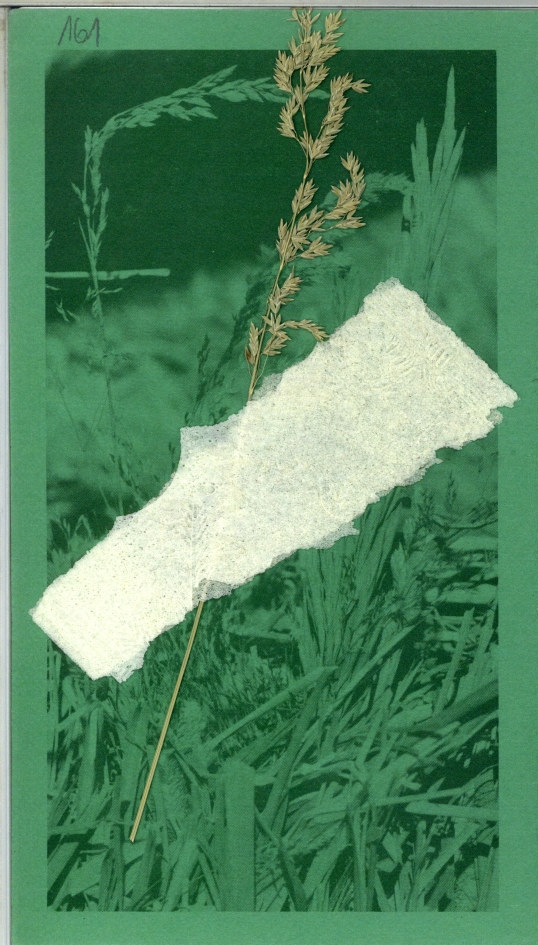 Christmas card from the 1980s. AIPN Łódź
