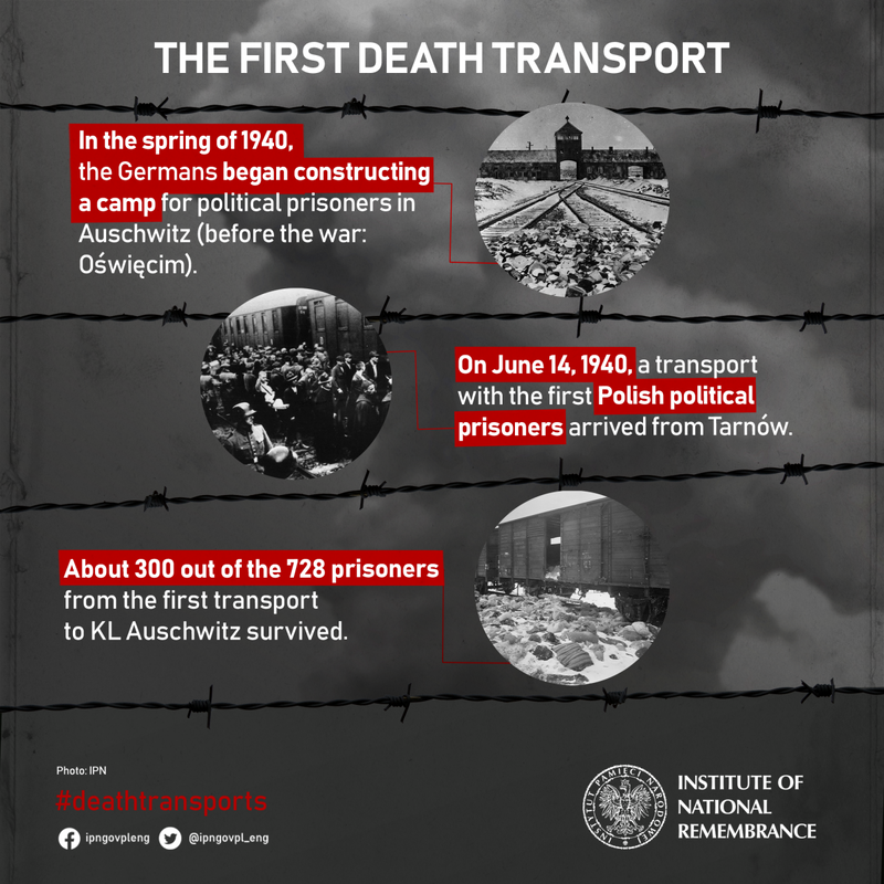 The first transport to Auschwitz-infographic