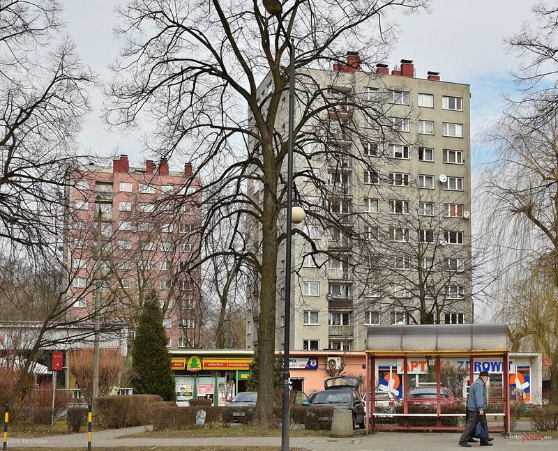 Alpine artists from Gliwice