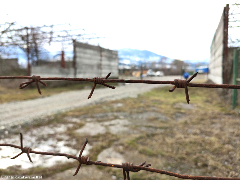 Search and exhumation works are underway in Batumi (Georgia)