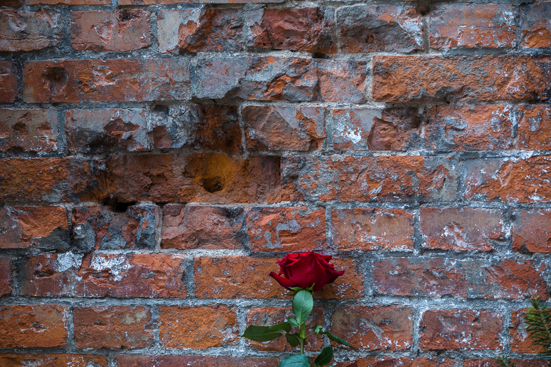 The celebration of 74th anniversary of the death of Captain Witold Pilecki on Rakowiecka Street – the "In tribute to Captain Pilecki" concert
