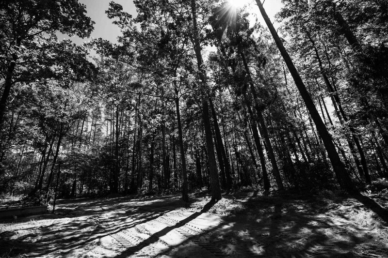 The IPN Karol Nawrocki in a press conference on the discovery of the grave of Soldau victims