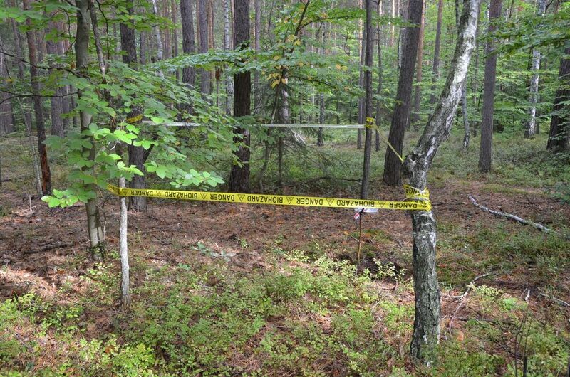 A joint press conference of the Polish Ministry of Justice and the IPN outlining plans of the search for the mass graves of Trzebuska victims, 19 September 2022