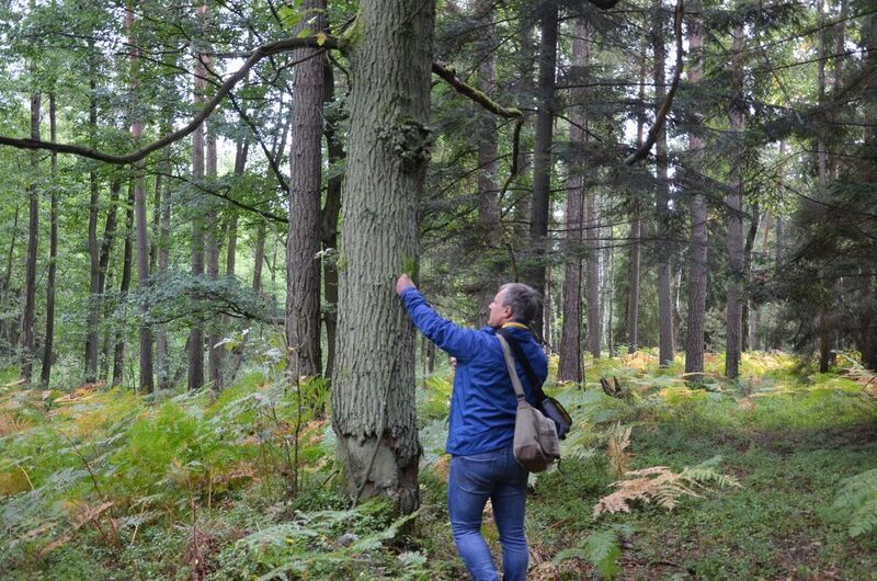 A joint press conference of the Polish Ministry of Justice and the IPN outlining plans of the search for the mass graves of Trzebuska victims, 19 September 2022