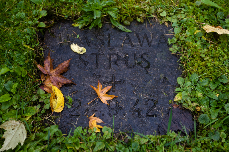 Perlacher Forst Cemetery - laying of flowers in the quarters covering the mass graves of Poles, victims of Dachau - October 15, 2022. photo Slawek Kasper (IPN)