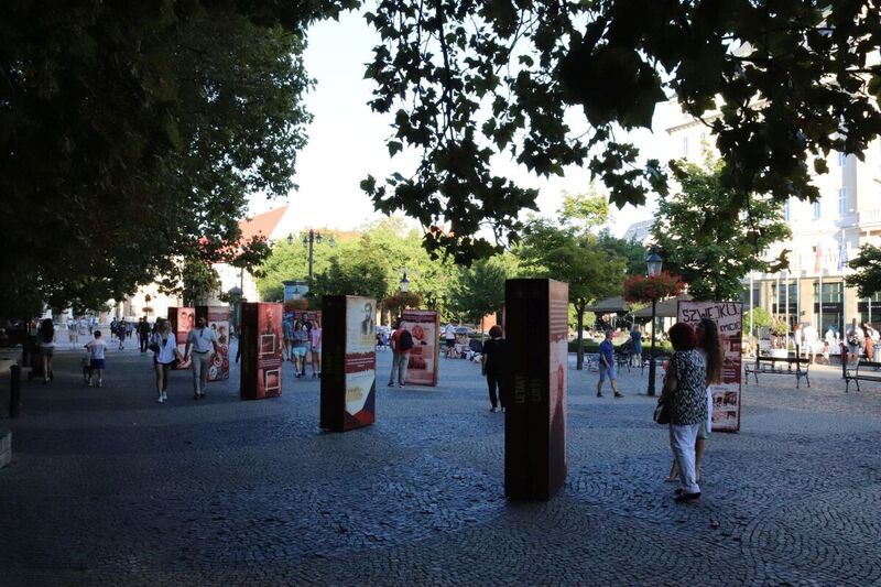 Deputy President of the IPN, Prof. Karol Polejowski at the official opening of the Institute's "Not only Siwiec" exhibition in Bratislava, photo:UPN