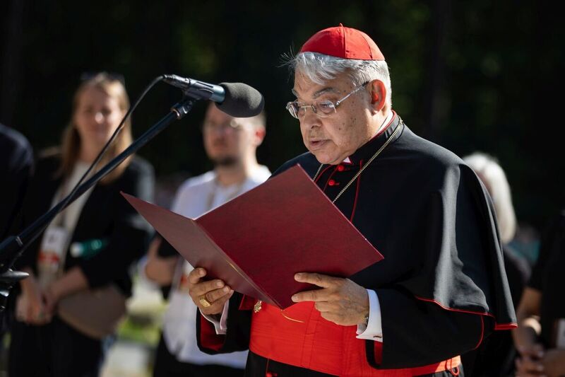 The Podkarpackie region commemorates Jews murdered by Germans in Markowa, 10 September 2023; Photo: M. Bujak (IPN)
