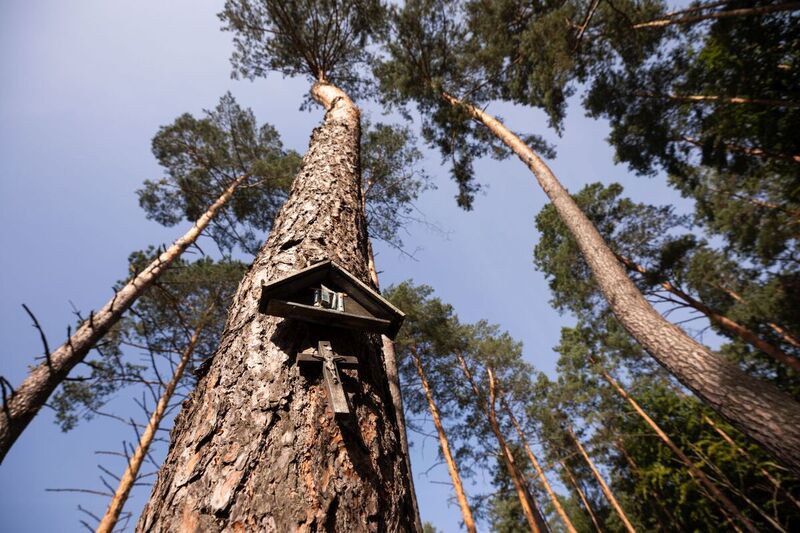 The Podkarpackie region commemorates Jews murdered by Germans in Markowa, 10 September 2023; Photo: M. Bujak (IPN)