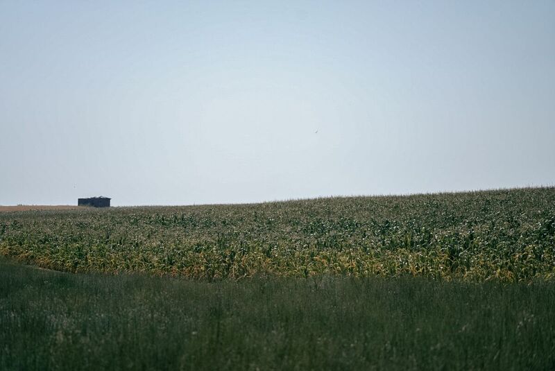 Visit of the IPN representatives to Ukraine on the anniversary of the Volhynian Massacre – 13–14 July 2024; photo: M. Niegowski (IPN) Visit of the IPN representatives to Ukraine on the anniversary of the Volhynian Massacre – 13–14 July 2024; photo: M. Niegowski (IPN)