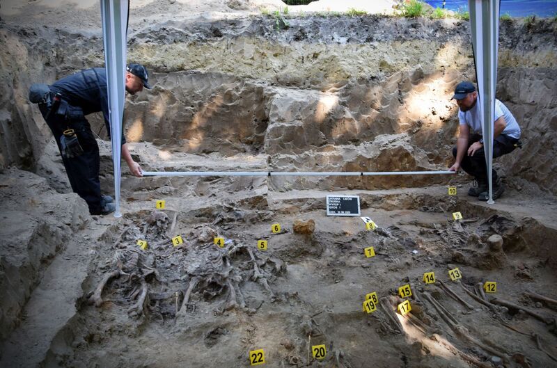 The works conducted by the Institute of National Remembrance in Lviv-Zboiska, Ukraine, 4--30 August 2025; photo: BPiI (IPN)