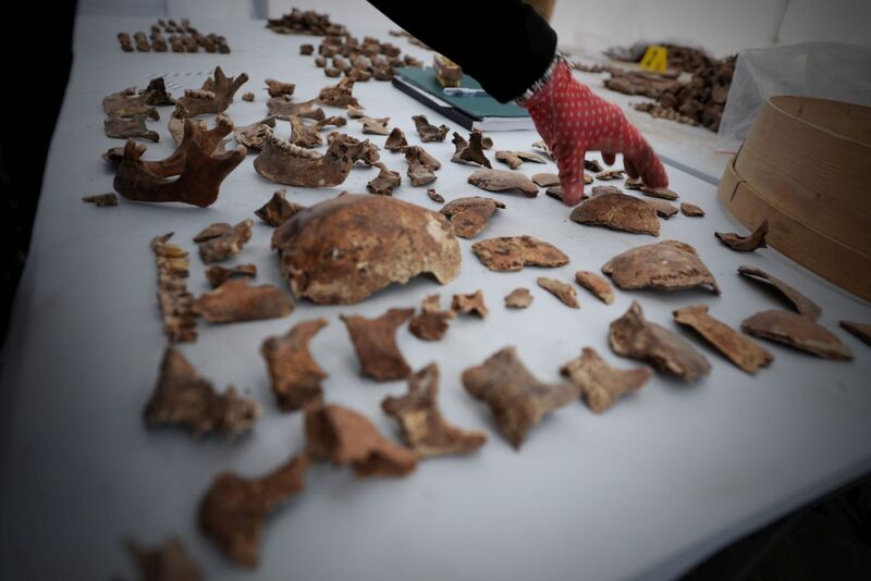 The works conducted by the Institute of National Remembrance in Lviv-Zboiska, Ukraine, 4--30 August 2025; photo: BPiI (IPN)