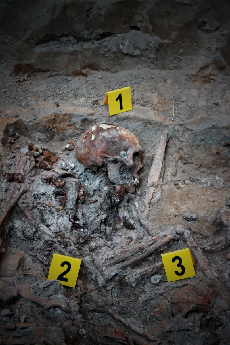 The works conducted by the Institute of National Remembrance in Lviv-Zboiska, Ukraine, 4--30 August 2025; photo: BPiI (IPN)