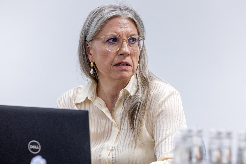 Katarzyna Dryńska, Director of the IPN Office of International Cooperation, at the meeting with the delegation of Moldova - 23 June 2026; photo: S. Kasper (IPN)