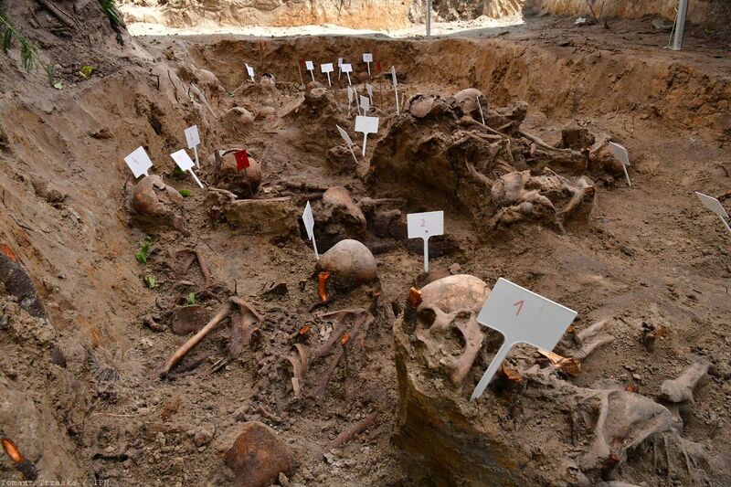 Completion of this year’s exhumation of the victims of the Volhynia Massacre in Ostrówki and Wola Ostrowiecka; photo: Tomasz Trzaska (IPN) Completion of this year’s exhumation of the victims of the Volhynia Massacre in Ostrówki and Wola Ostrowiecka; photo: Tomasz Trzaska (IPN)